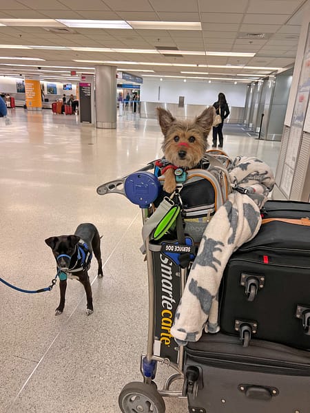 Foto 2. ¡Bienvenidos a Miami!